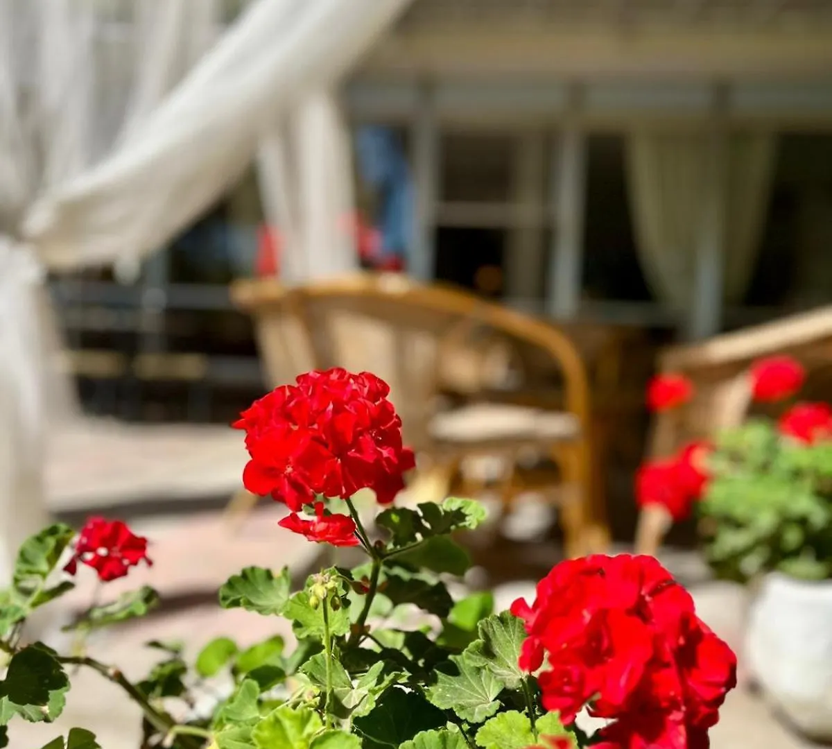 kontakty Hotel San Pietro